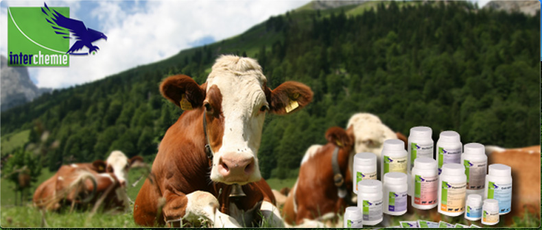 Синхроген Фарма ООД - Търговия на едро с ветеринарномедицински продукти